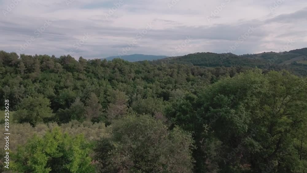 Aerial Drone shot Fly Over Foreground Trees and Hold Shot on Forest in Umbria, Italy Aerial Drone shot Fly Over Foreground Trees and Hold Shot on Forest in Umbria, Italy