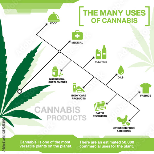 the many uses of cannabis, hemp, marijuana  infographic on white background.