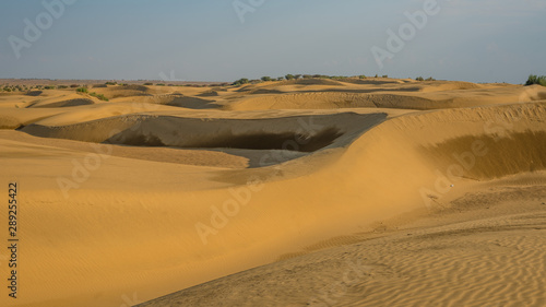 Dunes of Thar Desert. Sam Sand dunes  Rajasthan  India