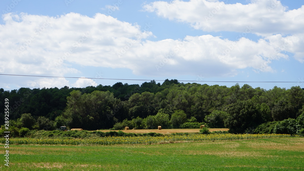 scenic landscape with green field and blue sky in Figueres, Spain