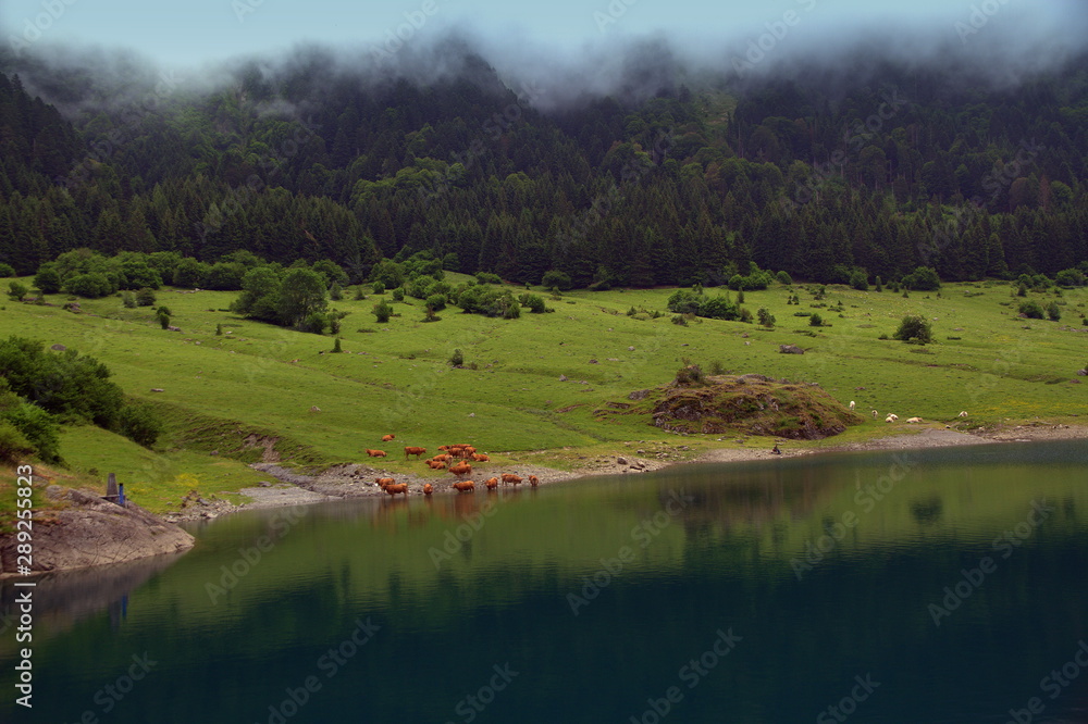 Spectacular view of Lake Tech in the High Pyrenees at an altitude of 1211 meters. France, Val d'Azun, Arrens-Marsous Spectacular view of Lake Tech in the High Pyrenees at an altitude of 1211 meters. France, Val d'Azun, Arrens-Marsous