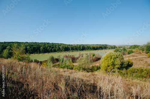 A steppe swamp in autumn/ Colored trees. Nature backgroung