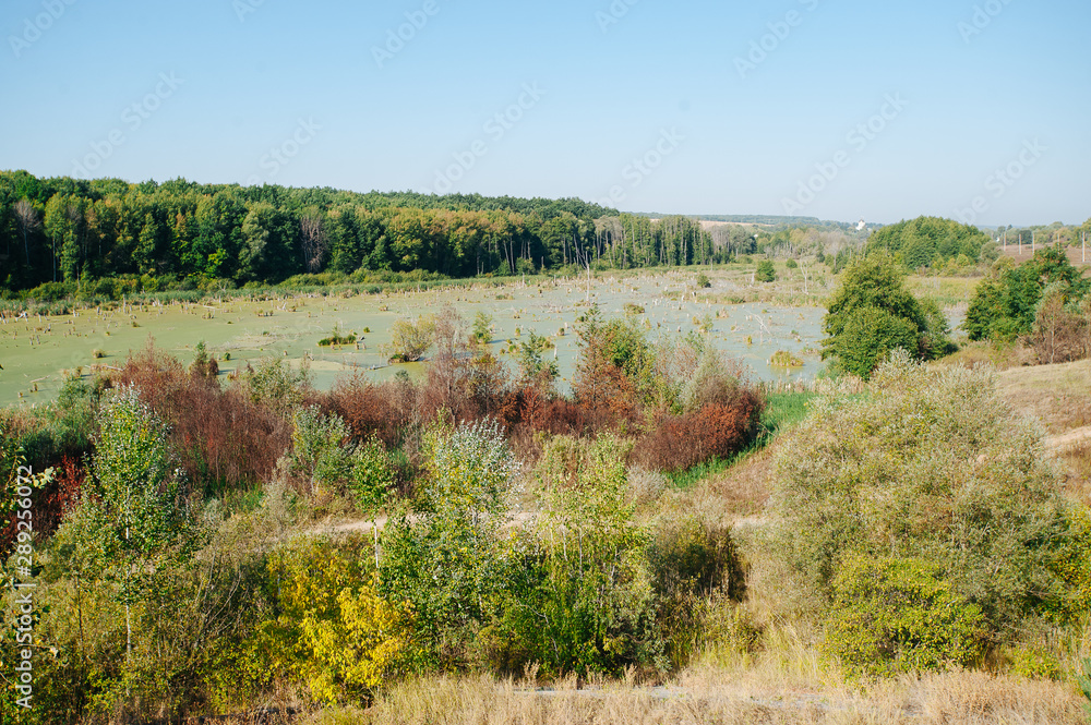 A steppe swamp in autumn/ Colored trees. Nature backgroung A steppe swamp in autumn/ Colored trees. Nature backgroung