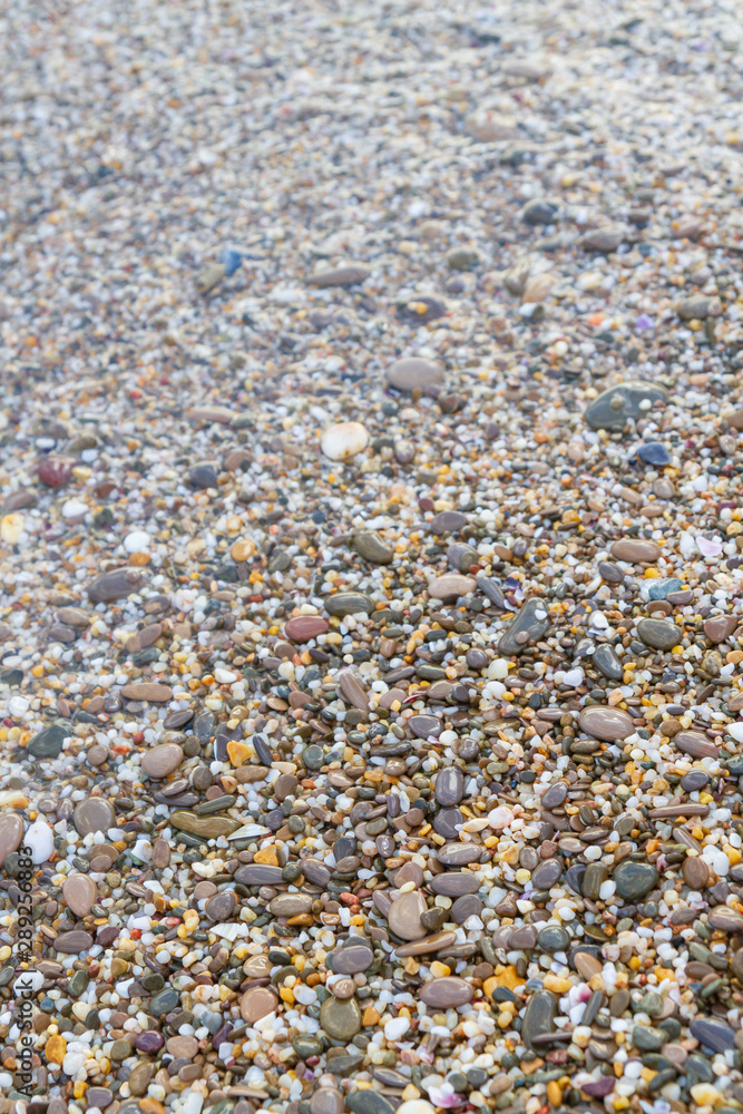 Sea stones on the seashore in the summer Sea stones on the seashore in the summer