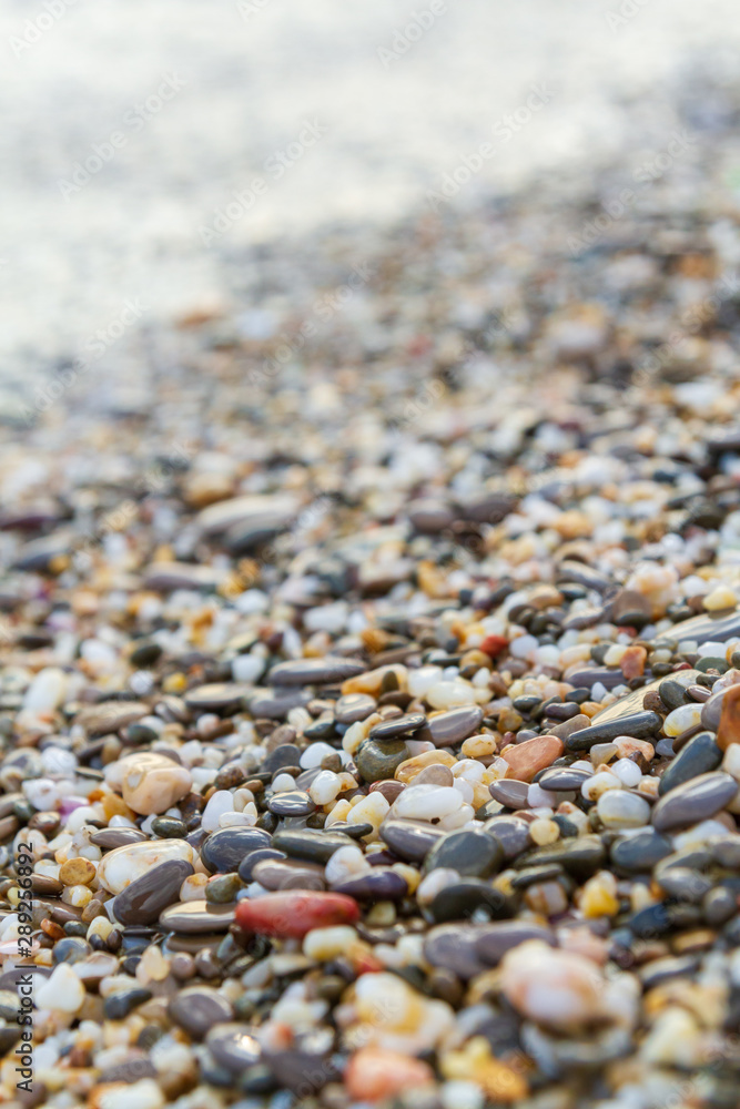 Sea stones on the seashore in the summer Sea stones on the seashore in the summer