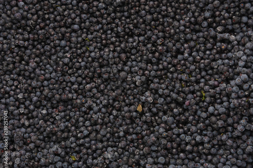 Top view of frozen blueberries.