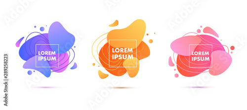 Abstract fluid vector shapes.