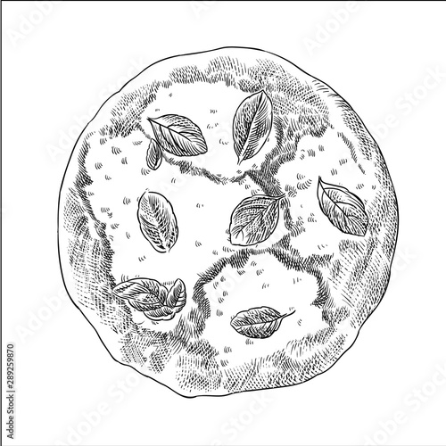 Italian pizza margarita basil leaves circle pieces hand drawn scetch vector