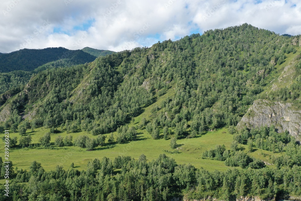 mountains in the summer in the Chemal district of the Altai Republic, Russia