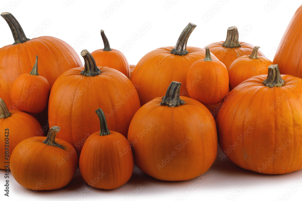 Heap of orange pumpkins Heap of orange pumpkins