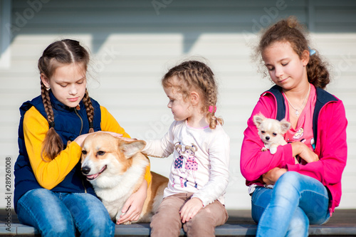 Three little girls are holding hands on their pets
