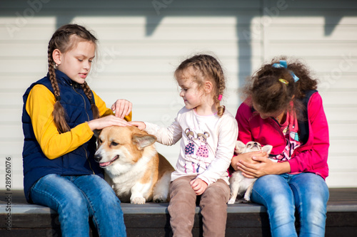 Three little girls are holding hands on their pets © Kiryakova Anna