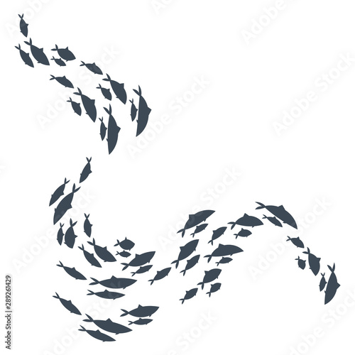 Colored silhouettes of groups of sea fishes. Colony of small fish. Icon with river inhabitants . Logo fish.