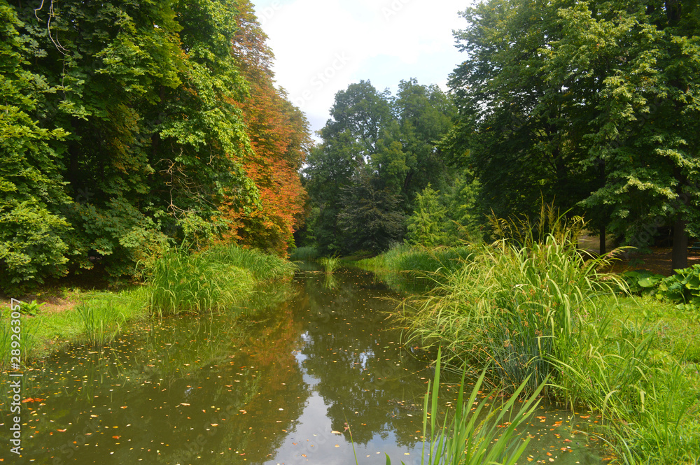  Summer nature of the park