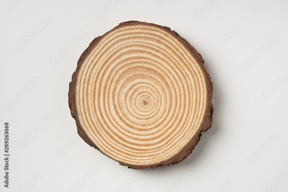Fototapeta premium top view of wood piece with annual ring on white