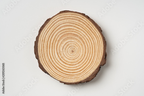 top view of wood piece with annual ring on white photo