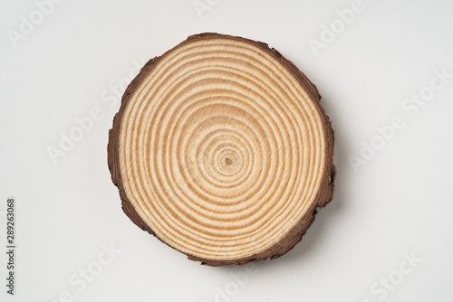 top view of wood piece with annual ring on white