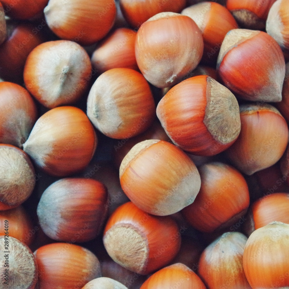 hazelnat close up . Vegan food. Nut close up hazelnat close up . Vegan food. Nut close up
