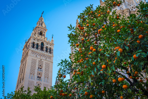 Giralda, Seville