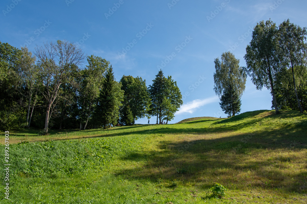 Skiing track in a summer.