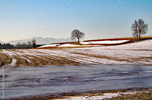 Obraz na plátne Winterende