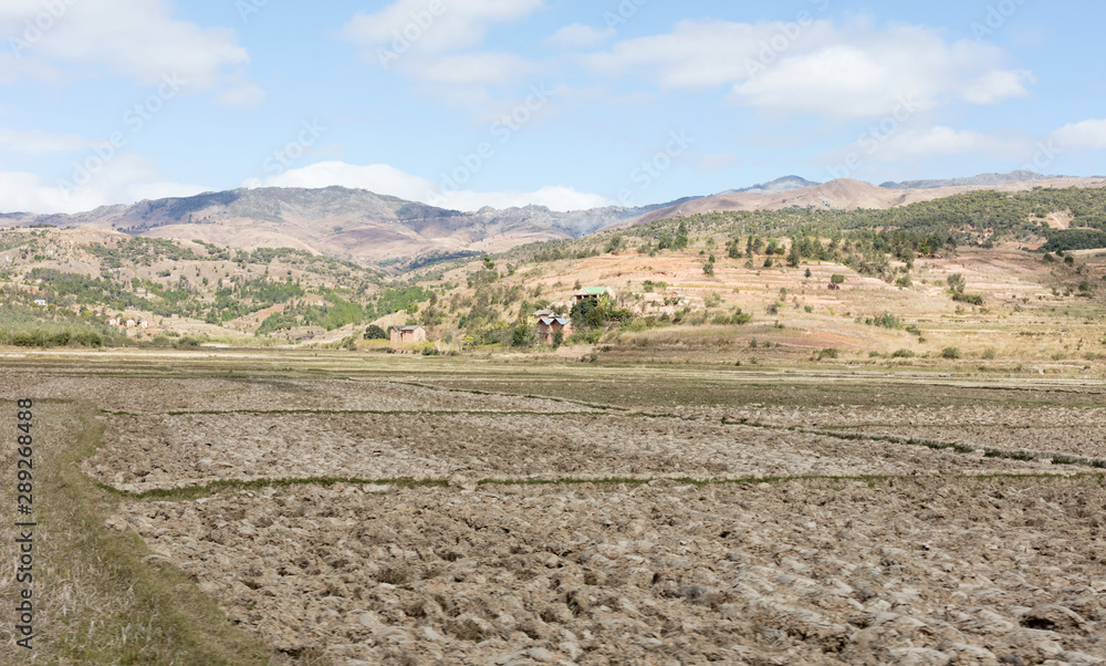 Agricultural fields in Madagascar