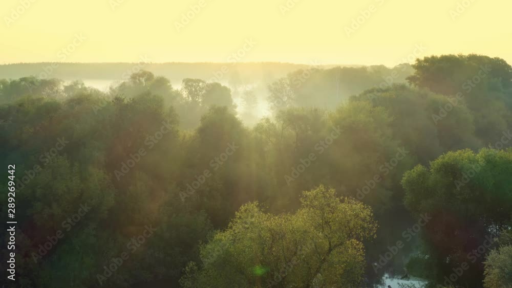 Landscape painter. Young man painting a natural scenery with oil paints. Morning sunrise Landscape painter. Young man painting a natural scenery with oil paints. Morning sunrise