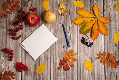 Autumn composition. Yellow and orange leaves, apples, red hawthorn berries and black Aronia berries, Notepad and pen on wooden background.