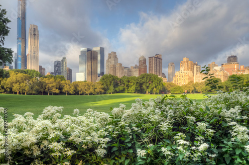 Central Park summer