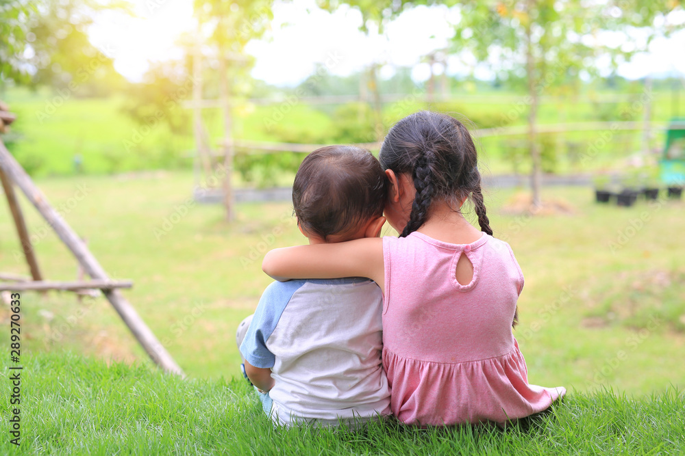 Φωτογραφία Older sister hugs little brother by the neck, shoulders sitting on green grass field