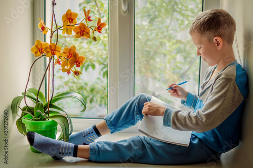 A little blond-haired boy in pajamas draws sitting on the window, and outside the window is a sunny summer day. A child and an orchid flower on a large bright window. Summer photo made in bright colo