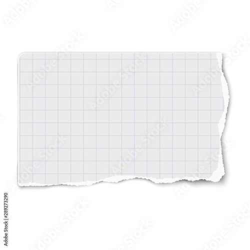 White vector oblong checkered paper tear with soft shadow isolated on white background