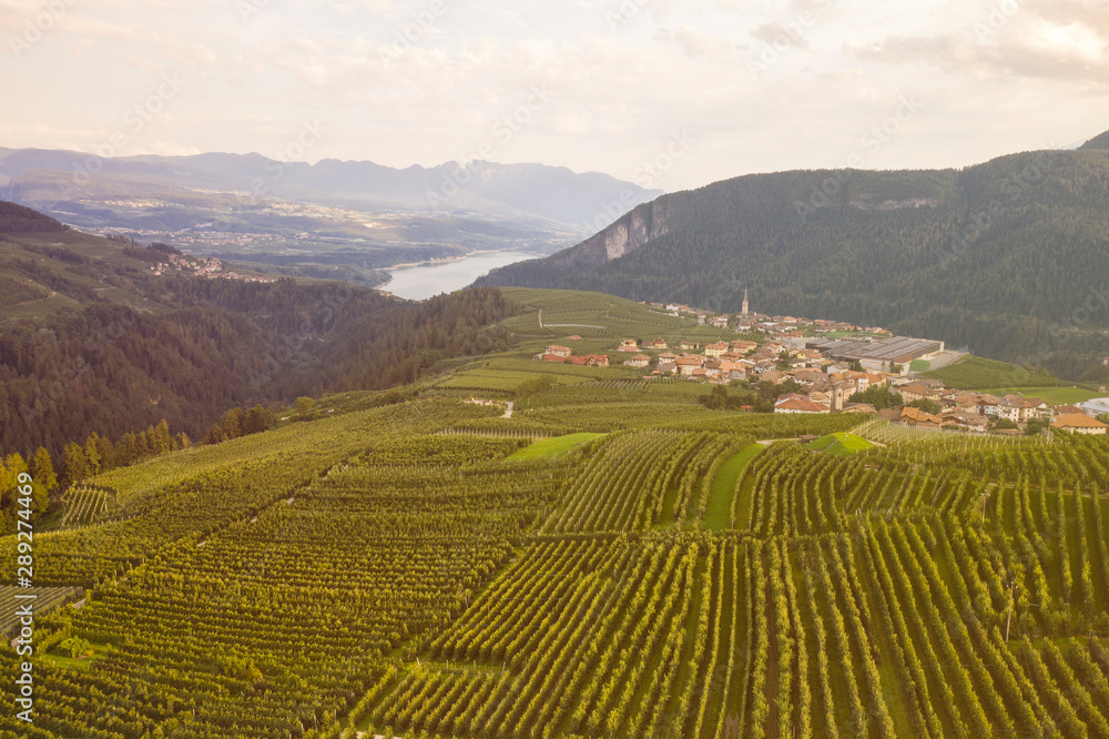 top view of Trentino apple plantations in Italy top view of Trentino apple plantations in Italy