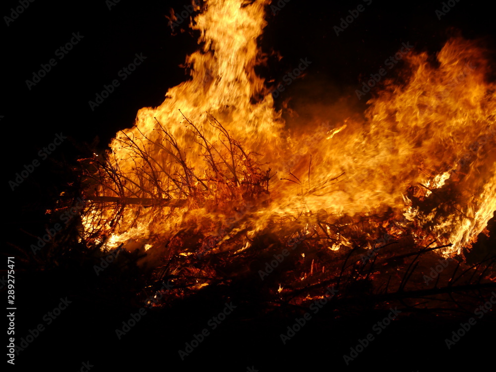 Christbaumverbrennung Weihnachtsbaumverbrennung Feuer Flammen und Feuerwehr