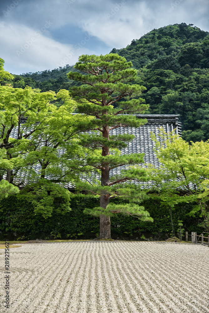 Zen garden of the Tenryu-ji temple, Arashiyama, Kyoto, Japan