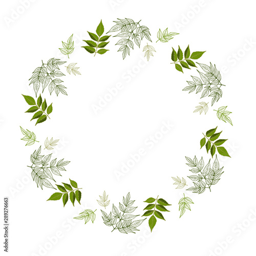 Floral design card with leaves hand drawn, vector.  Herbs forest round isilated on white.