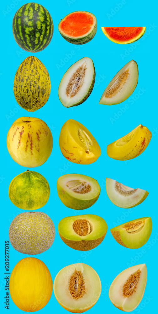 Melonen Composing mit hälften und stücke Melonen Composing mit hälften und stücke