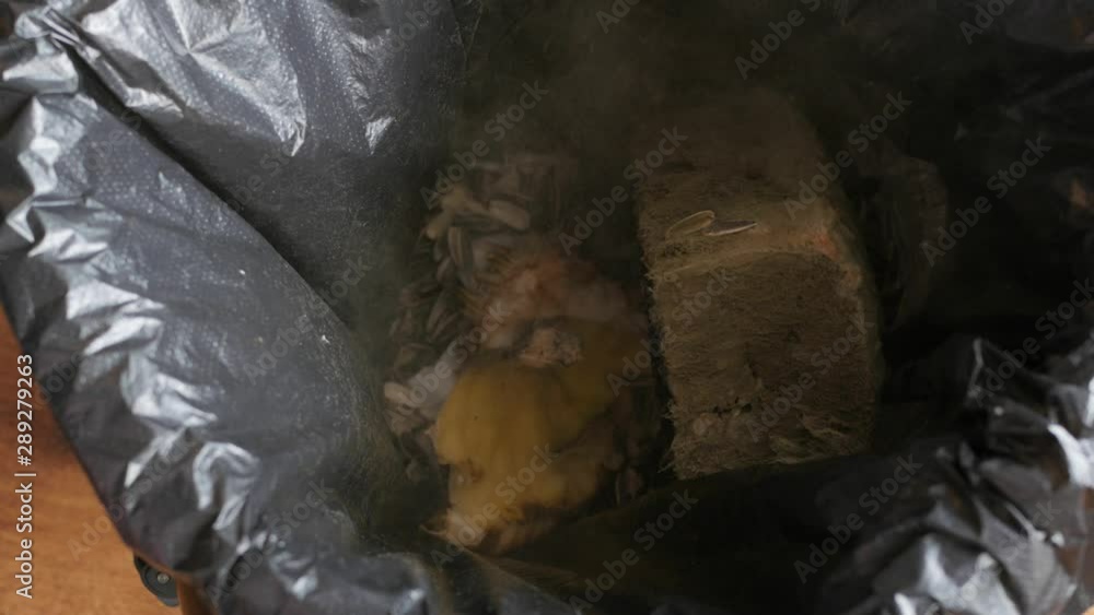 throwing moldy bread in the trash can throwing moldy bread in the trash can