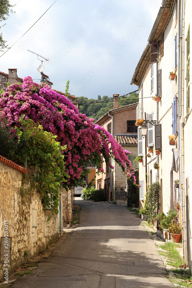 narrow street in old town