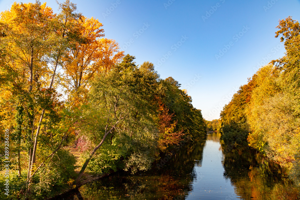 farbiges Herbstlaub in einem Wald an einem Fluss, Ahorn