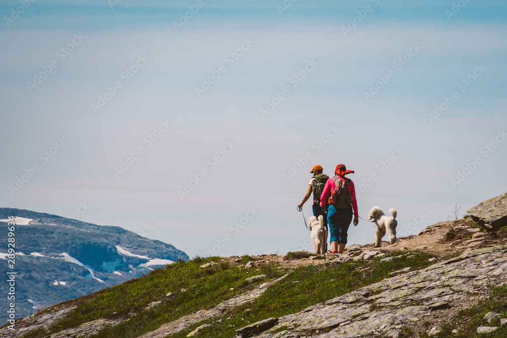 July 26, 2019. Norway. hikers with dogs on the Trolltunga. Dog hiking in Norway. hiking, trekking, lifestyle with pet Norway concept. Hikers with dogs in mountain. Man with dog on the trip in the