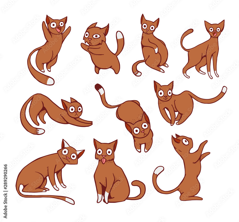 Cats with different emotions and poses isolated from a background. Good illustrated elements. Can be used as stickers.