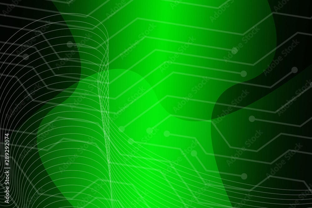 web, spider, dew, nature, cobweb, water, spiderweb, drops, morning, insect, net, macro, pattern, drop, spider web, closeup, wet, design, close-up, green, network, abstract, trap, mist, silk web, spider, dew, nature, cobweb, water, spiderweb, drops, morning, insect, net, macro, pattern, drop, spider web, closeup, wet, design, close-up, green, network, abstract, trap, mist, silk
