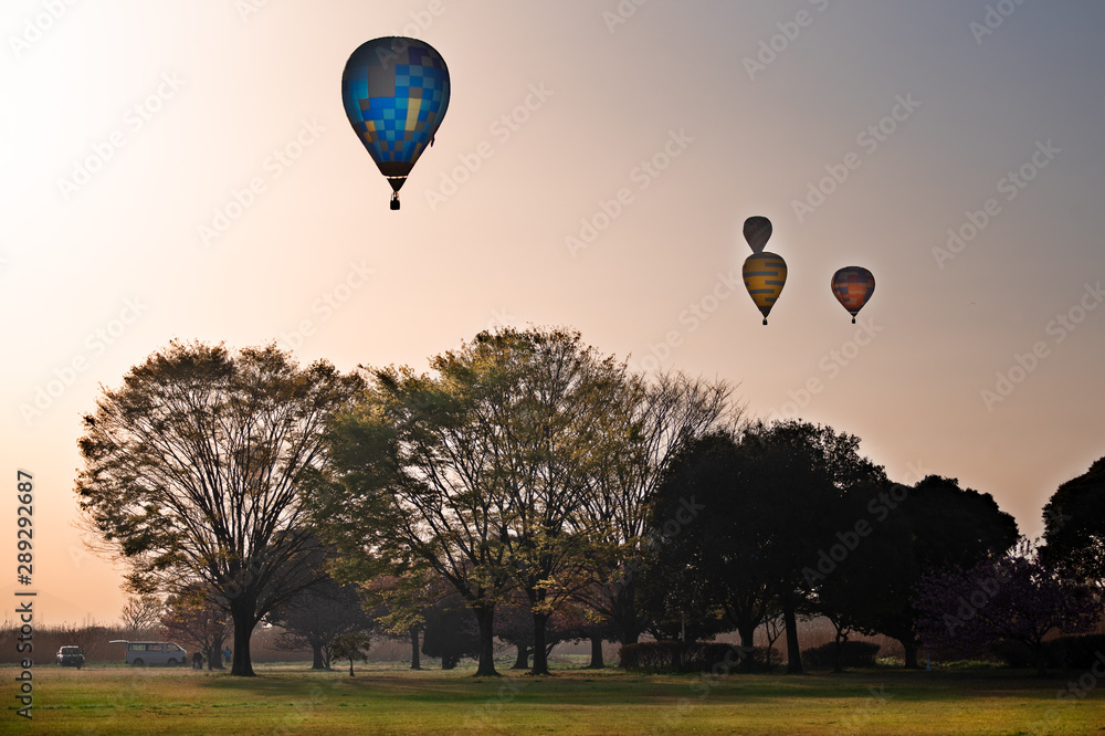 Obraz premium 春の朝飛び立つバルーン