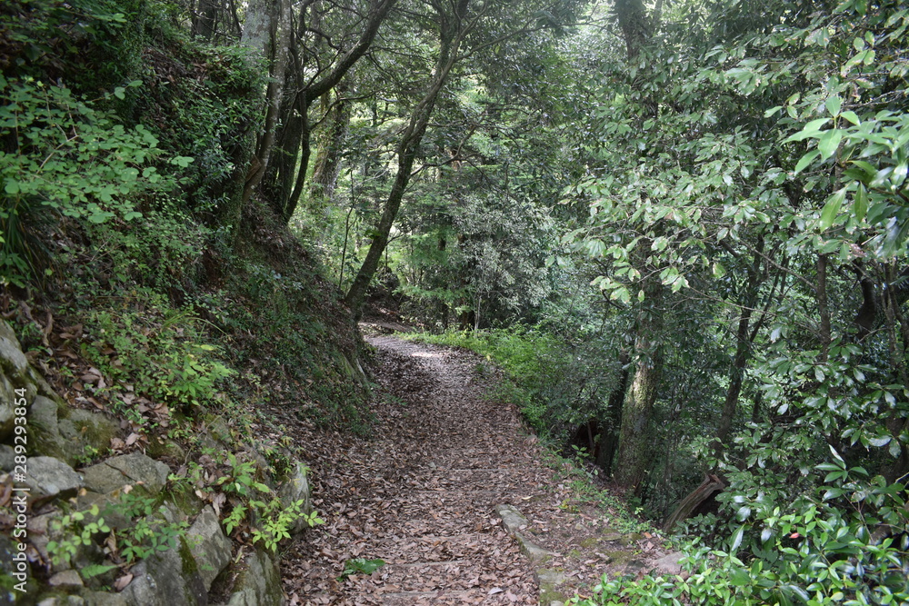 山道 山道