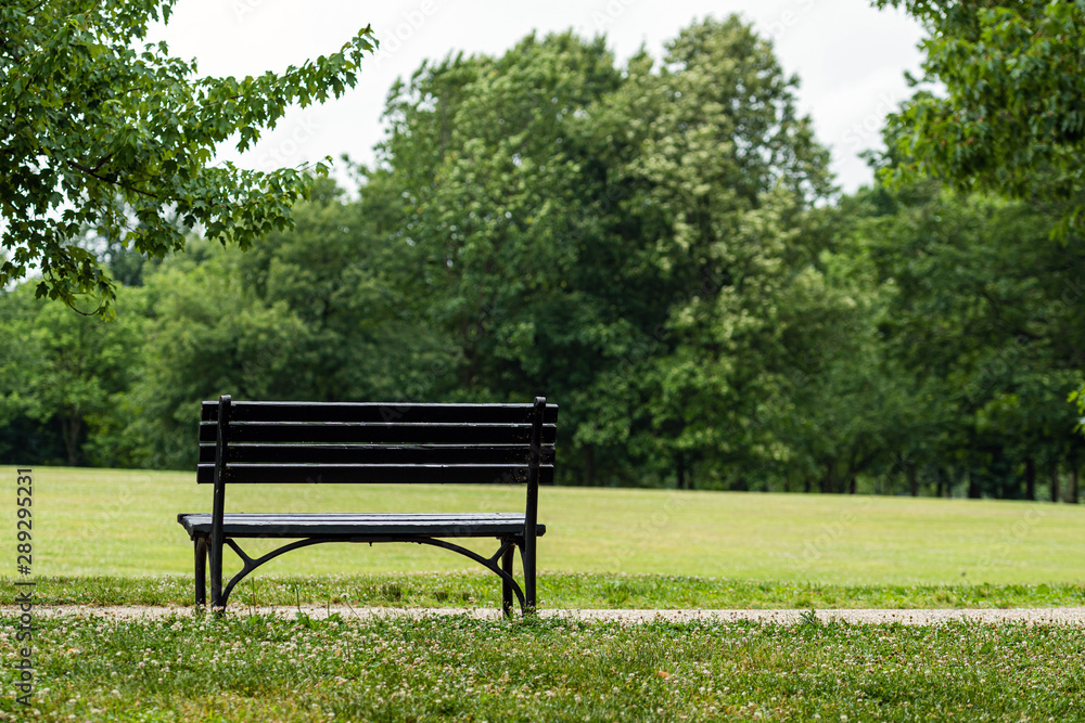 Bench in the park, at the foot of the pedestrian path. Rear view - image