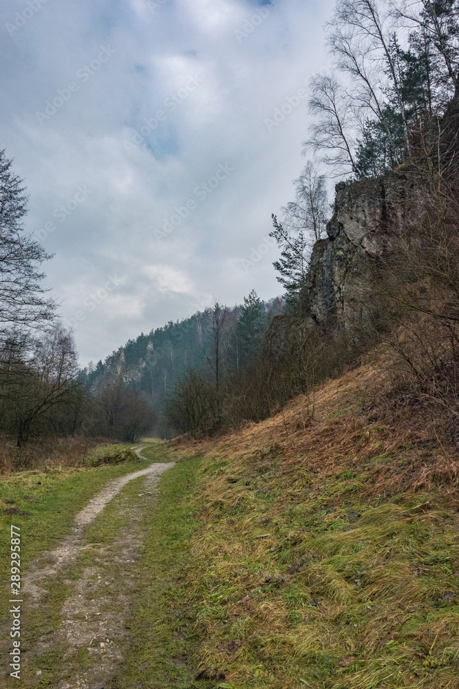 Obraz premium Dolina Kobylańska