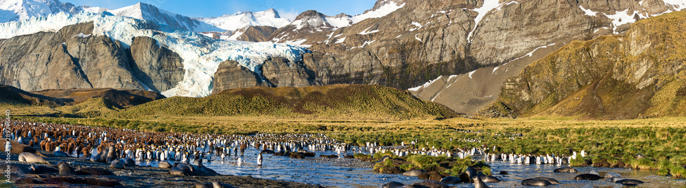 Obraz premium Gold Harbor Glaciers South Georgia Island