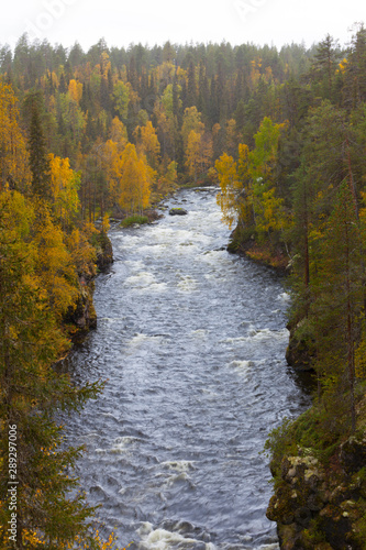 Río Kitka, Parque Nacional de Oulanka. Finlandia.