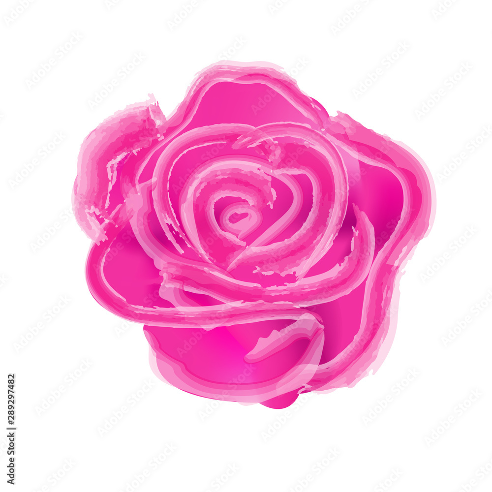 Watercolor painting pink roses on a white Watercolor painting pink roses on a white